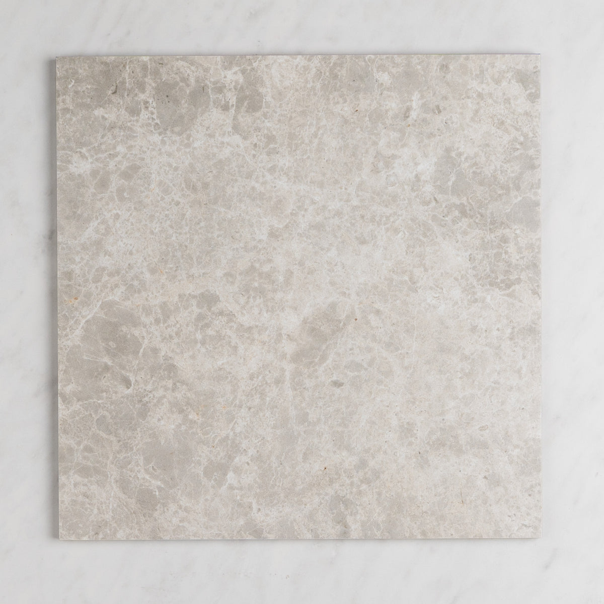 Arlo Series Porcelain Floor and Wall Tile