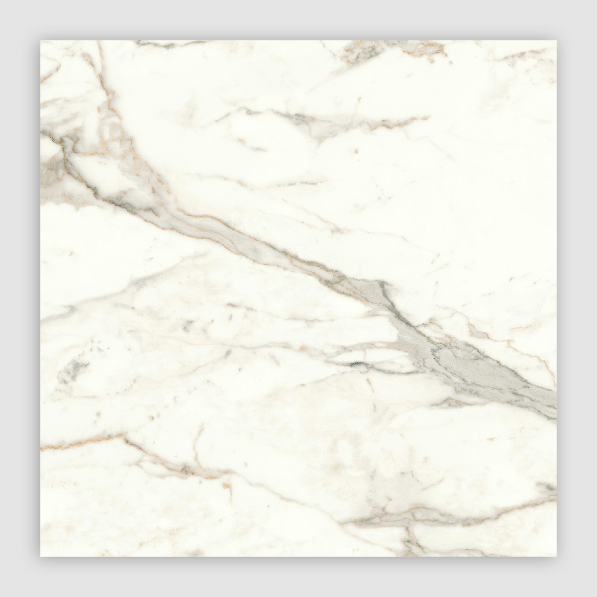 Marvel Shine Series Italian Porcelain Tile in Prestigio, Silk finish