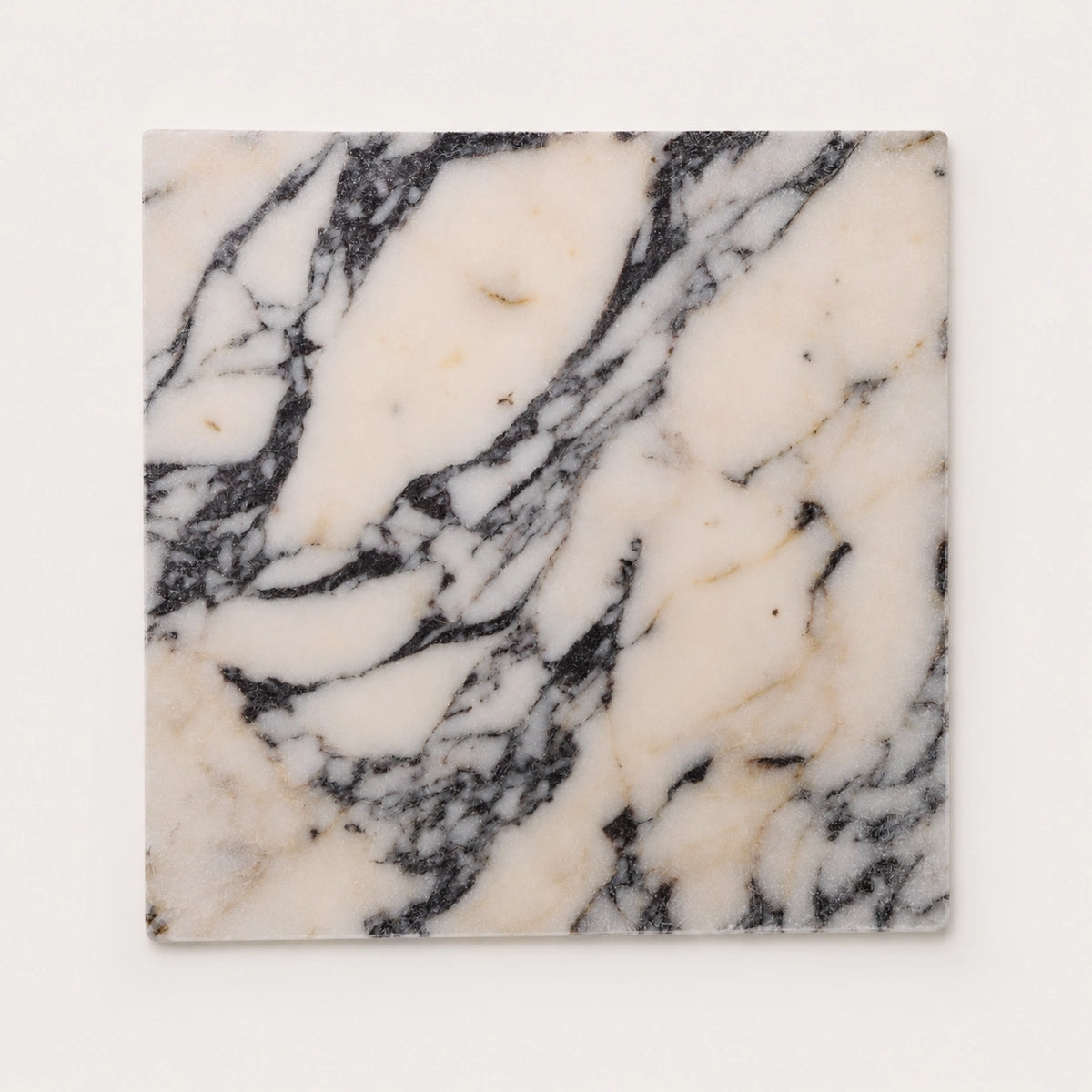 Calacatta Viola Square Marble Tile | Tumbled & Honed Natural Stone