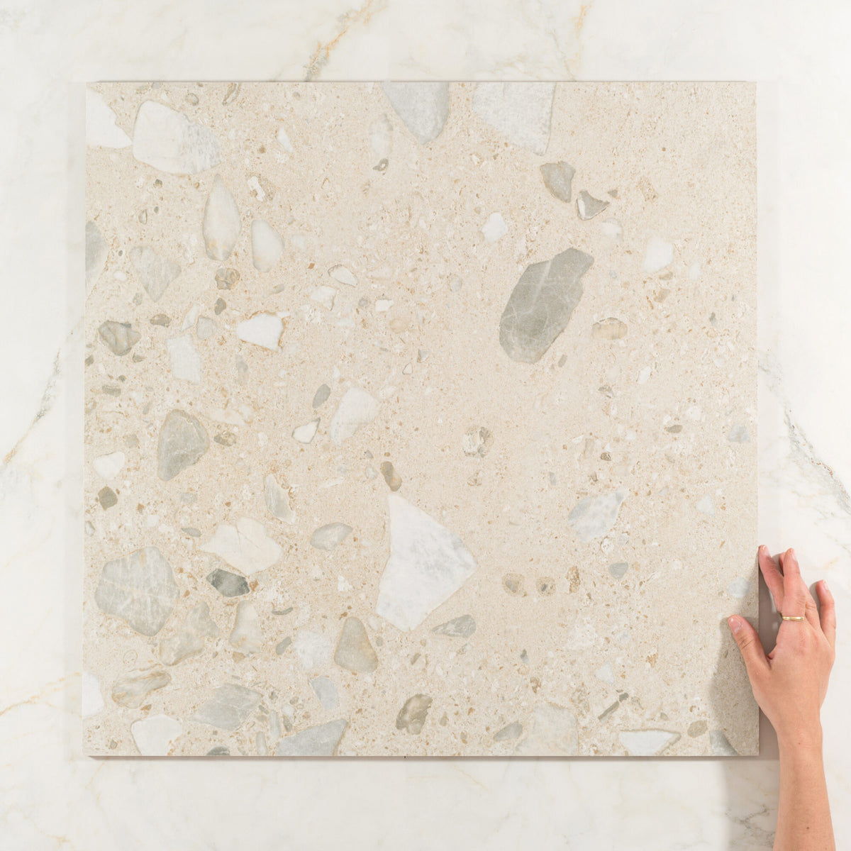 Lithos Terrazzo Look Porcelain Floor & Wall Tile