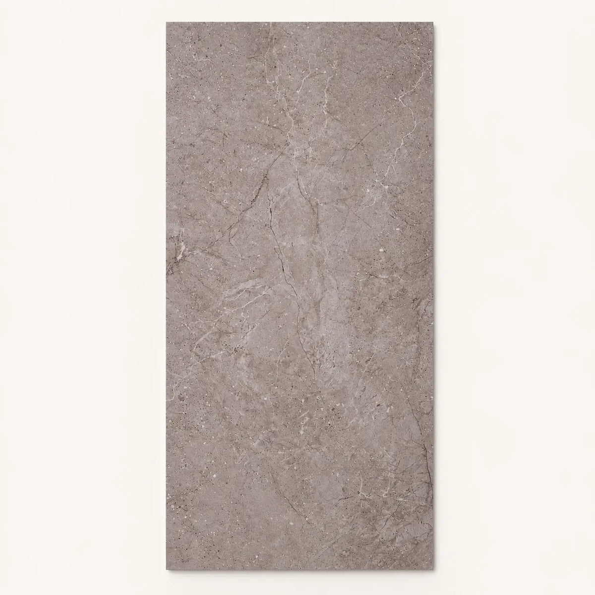 Meta Stone Porcelain Floor & Wall Tile | P4 Indoor Outdoor Tile in Grigio