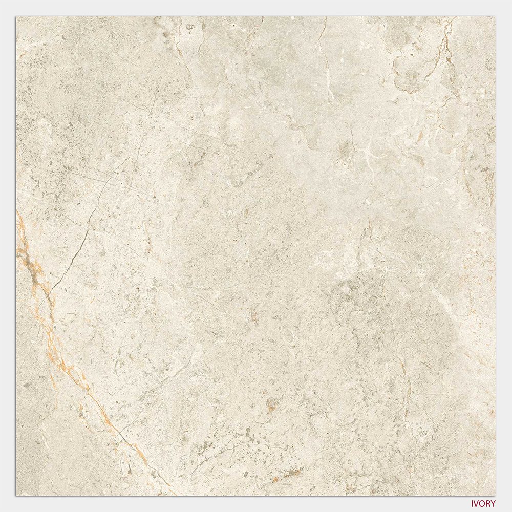 Cosmic Series Porcelain Floor and Wall Tile