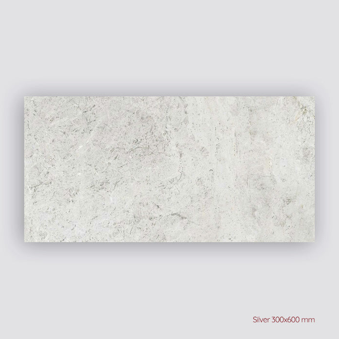 Tundra Extra Porcelain Indoor and Outdoor Tiles