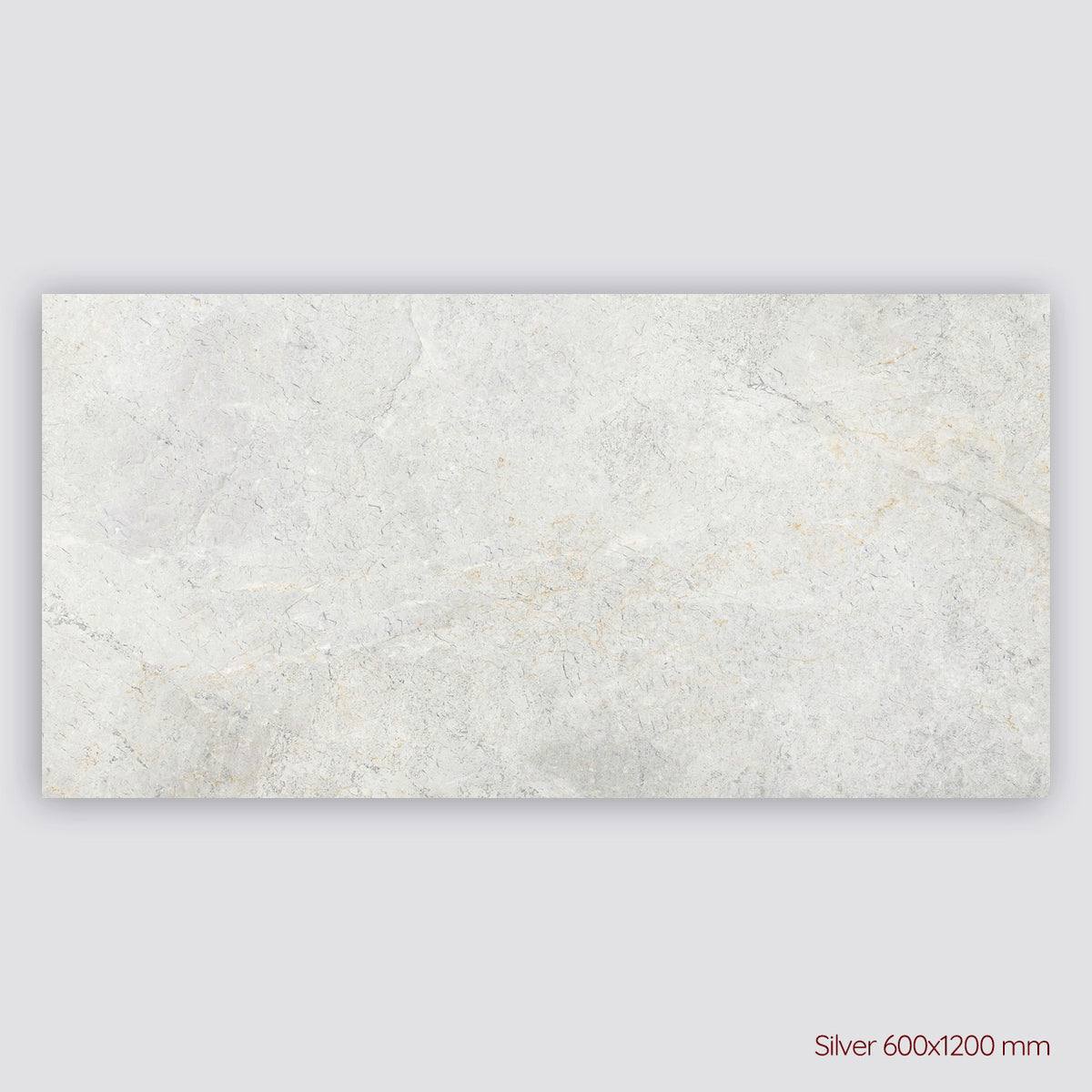 Tundra Extra Porcelain Indoor and Outdoor Tiles