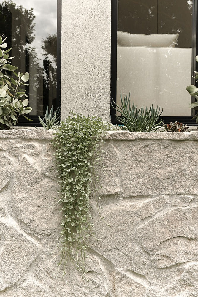Cz Avoca Stone Cladding