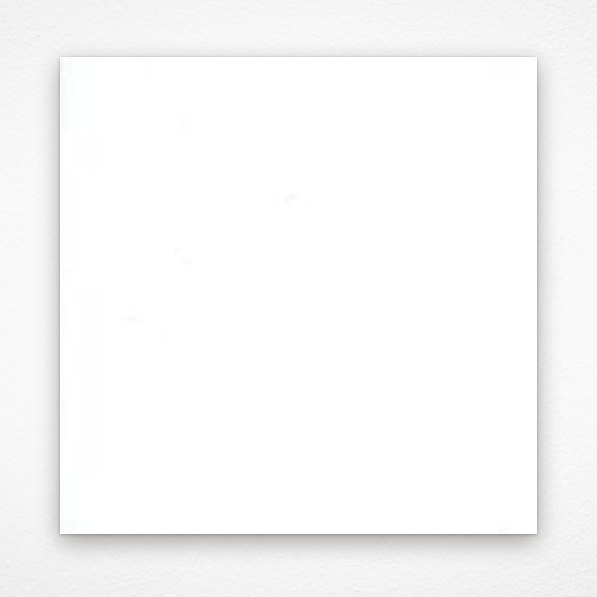 Laurieton Gloss & Satin Ceramic Wall Tile 200x200