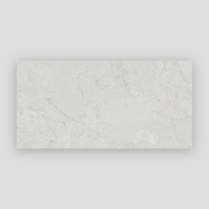 Project Stone Porcelain Floor and Wall Tile