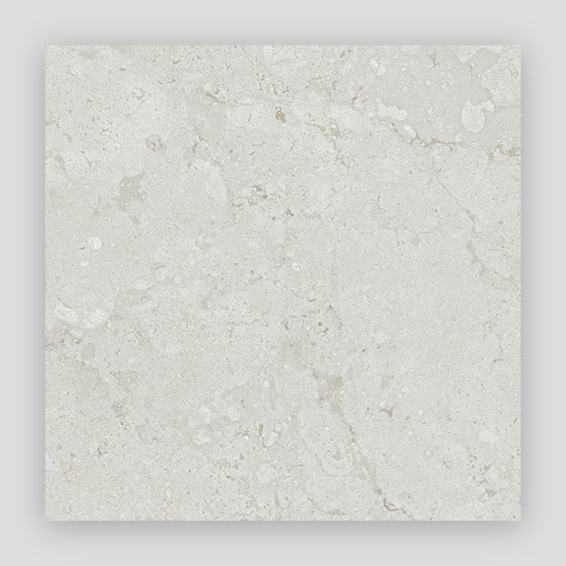 Project Stone Porcelain Floor and Wall Tile