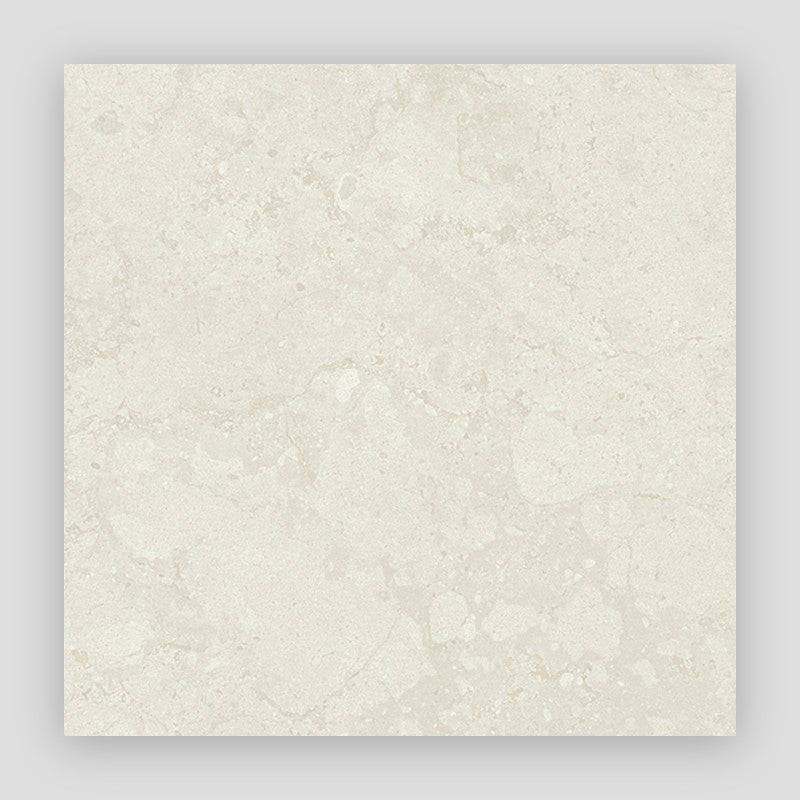 Project Stone Porcelain Floor and Wall Tile