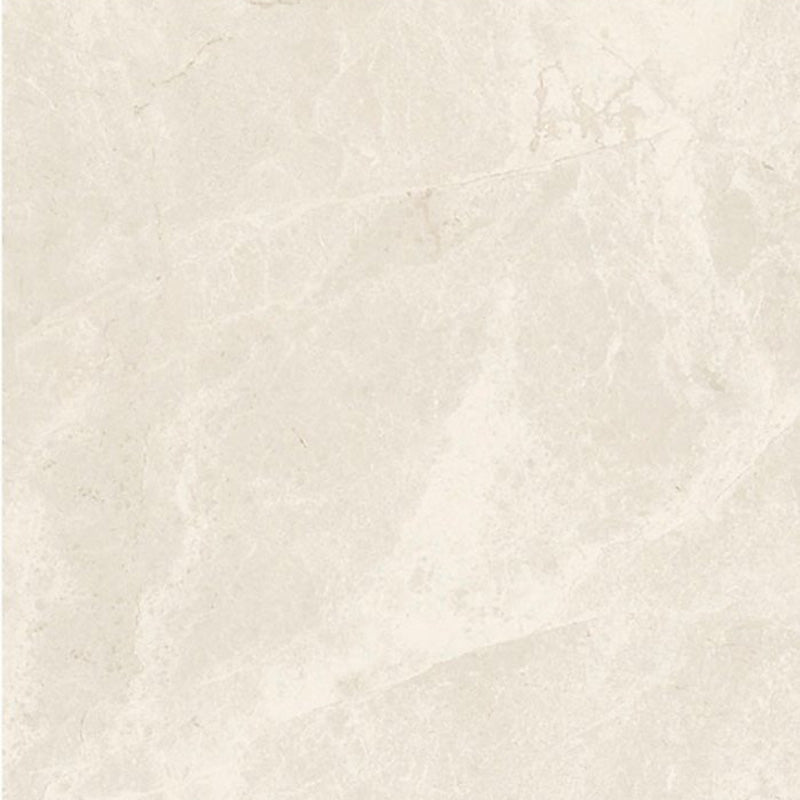 Tundra Marble Look Porcelain Tile
