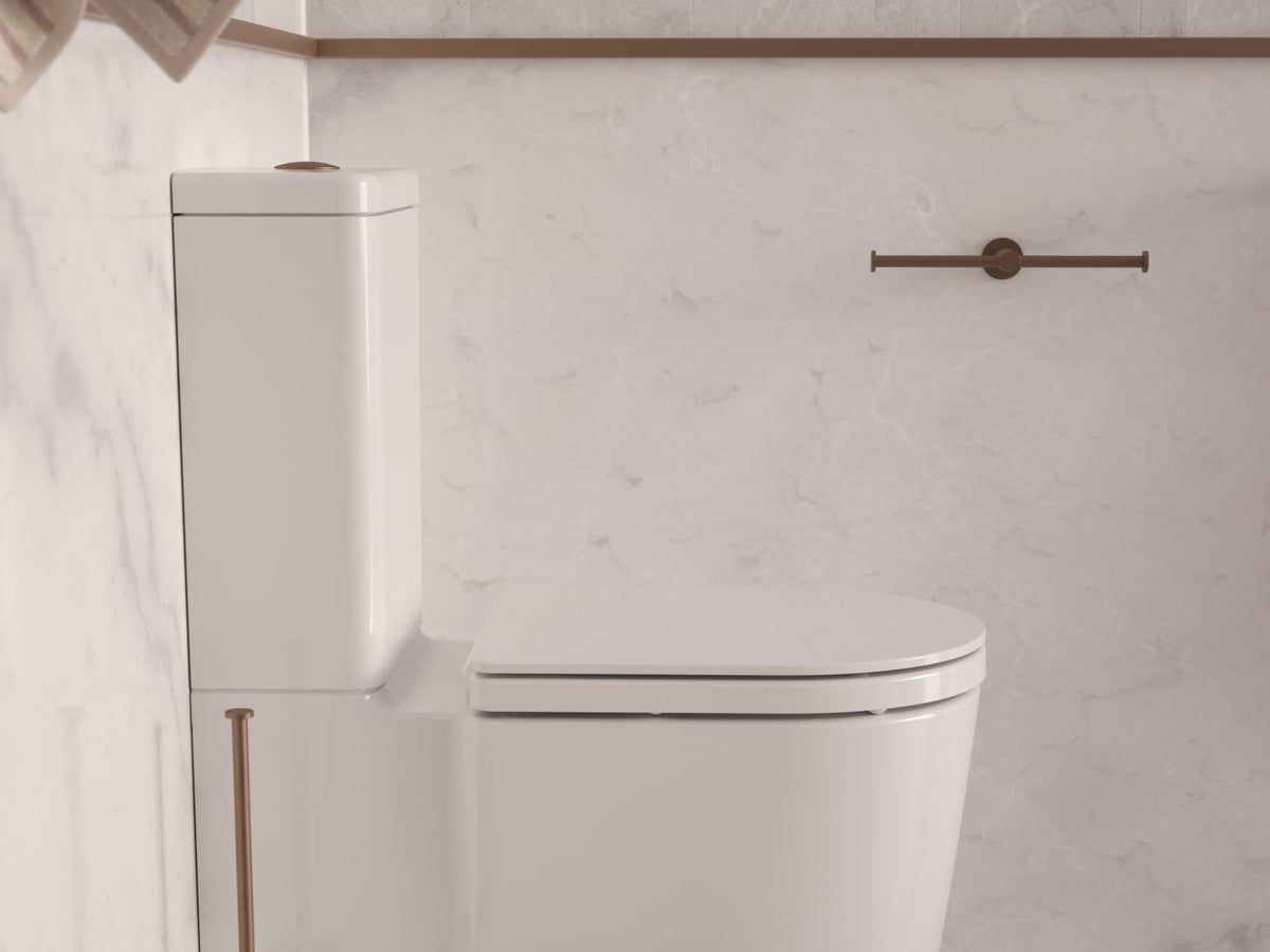 Close view of a white toilet suite and seat with brushed bronze accessories
