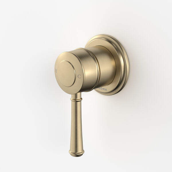 Riviere Bath/Shower Mixer in Brushed Brass | Caroma #Colour_Brushed Brass