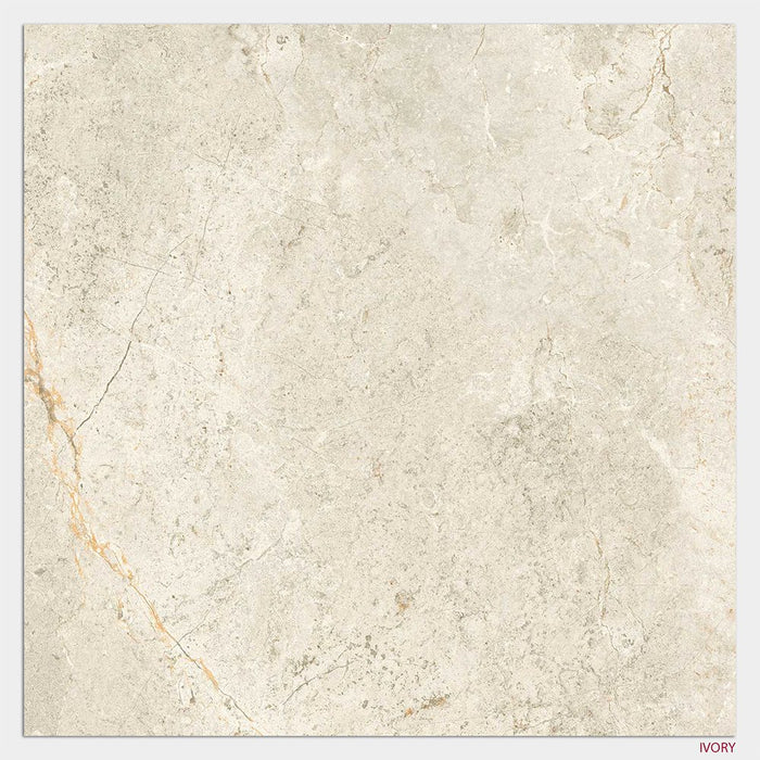 Cosmic Series Porcelain Floor and Wall Tile
