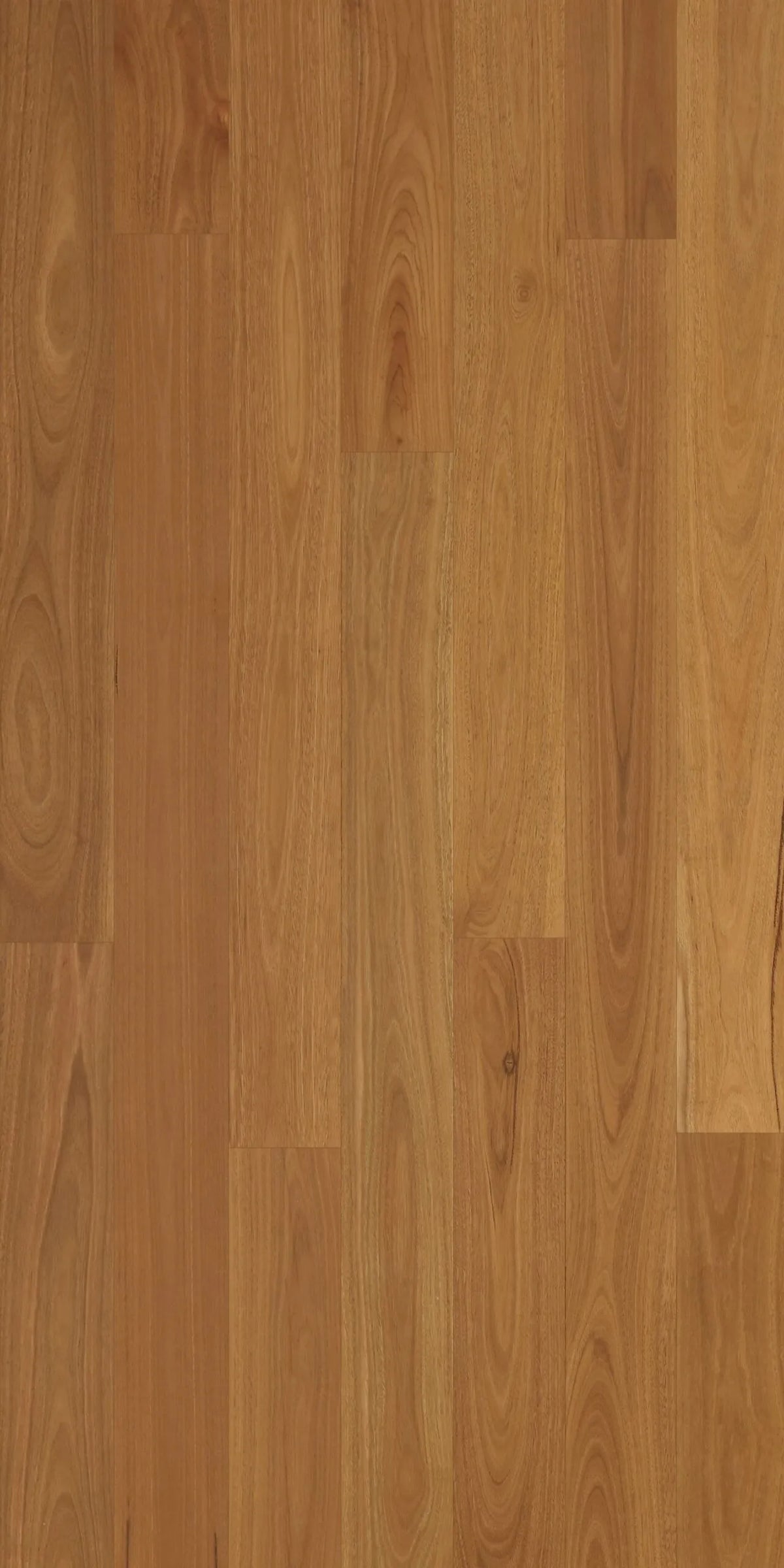 Spotted Gum Select Engineered Timber Flooring 1900x136mm | Eco Flooring