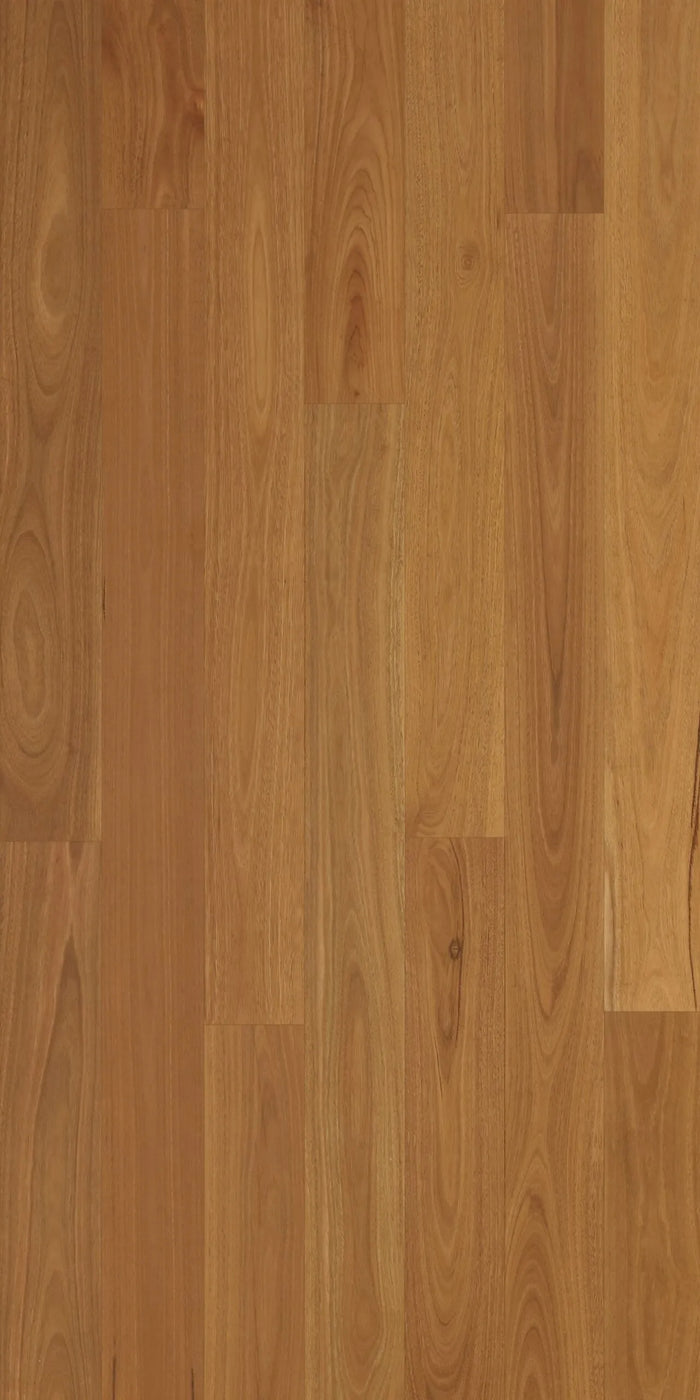 Spotted Gum Select Engineered Timber Flooring 1900x136mm | Eco Flooring