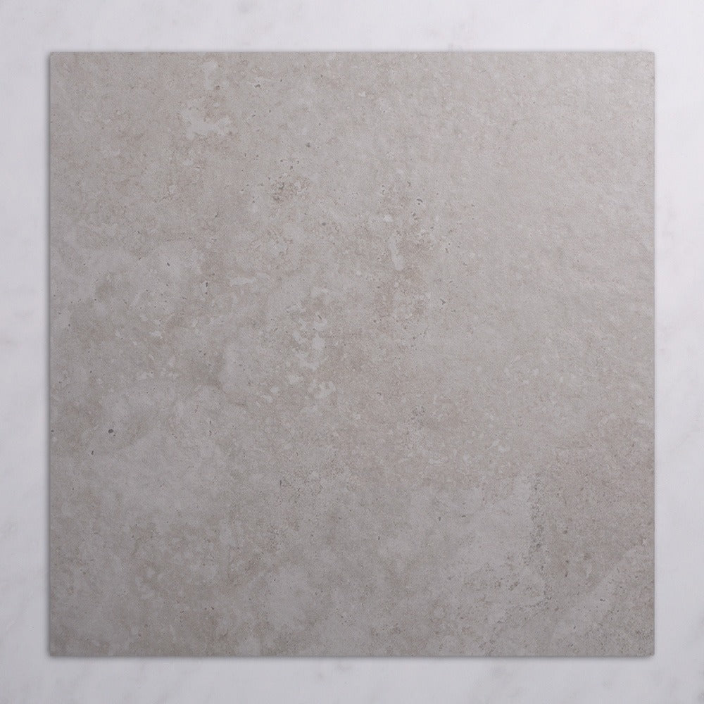 Alps Porcelain Floor & Wall Tile in Silver, Matt finish