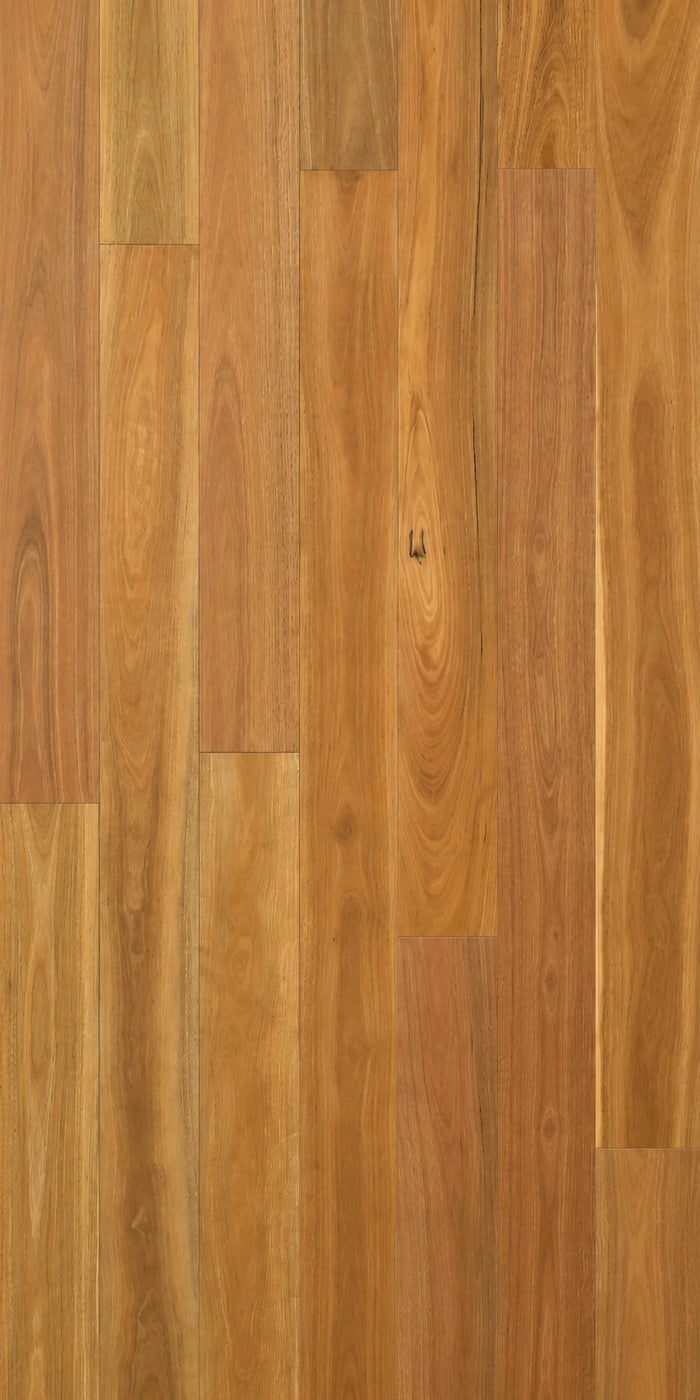 Spotted Gum Neat Engineered Timber Flooring 1900x136mm | Eco Flooring