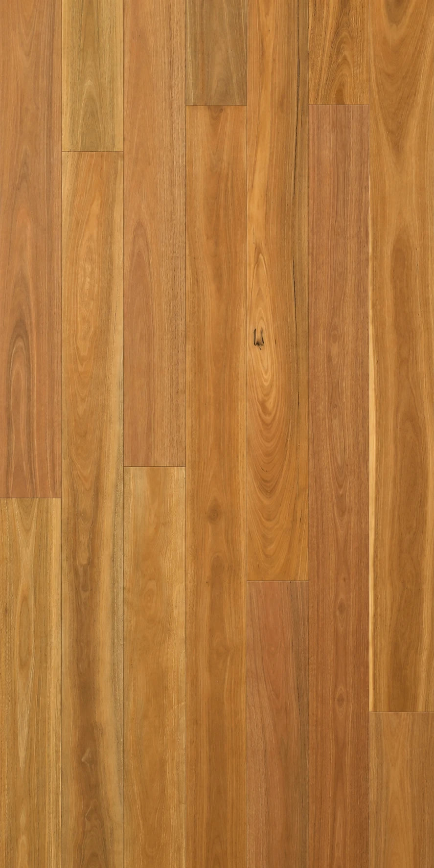 Spotted Gum Neat Engineered Timber Flooring 1900x136mm | Eco Flooring