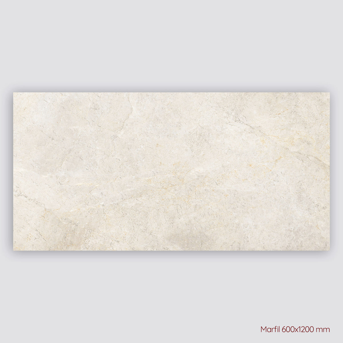 Tundra Extra Porcelain Indoor and Outdoor Tiles