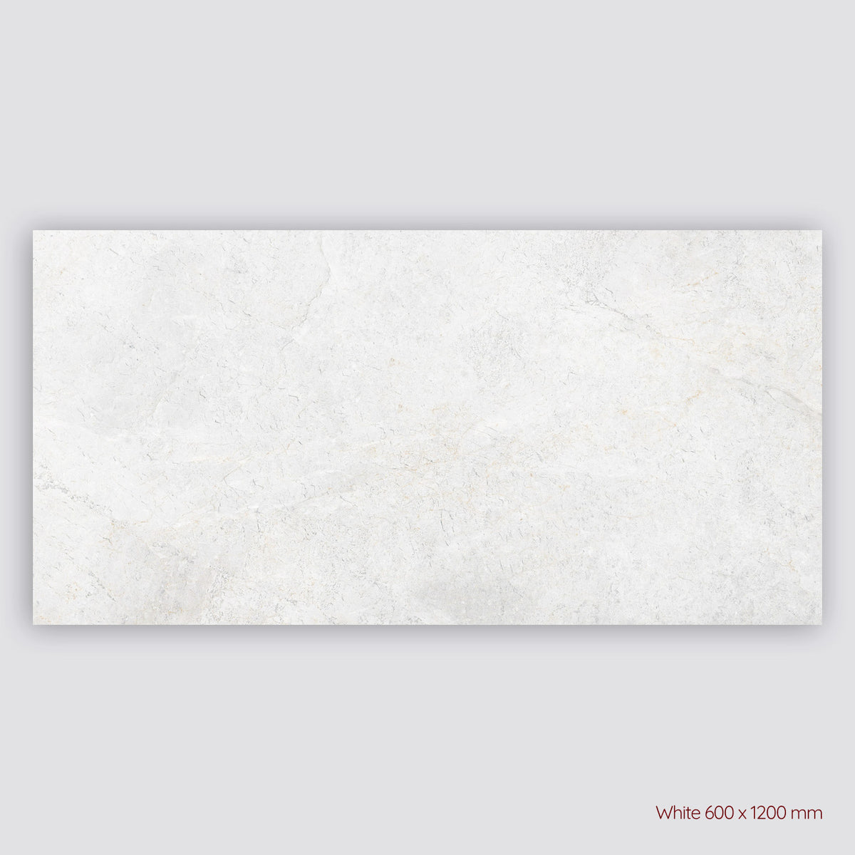 Tundra Extra Porcelain Indoor and Outdoor Tiles