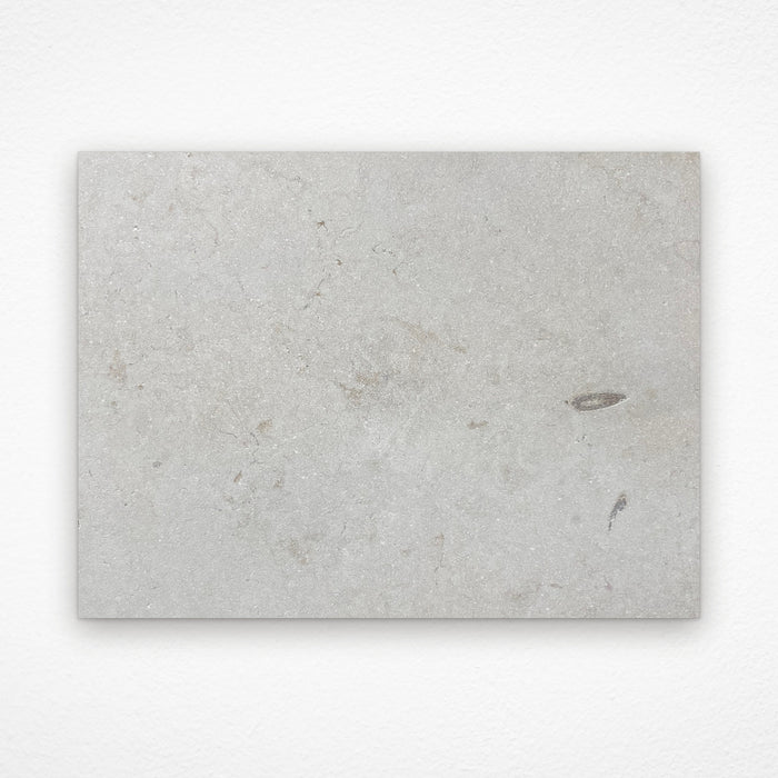 Coral Sandblasted & Tumbled Limestone Tile & Paver