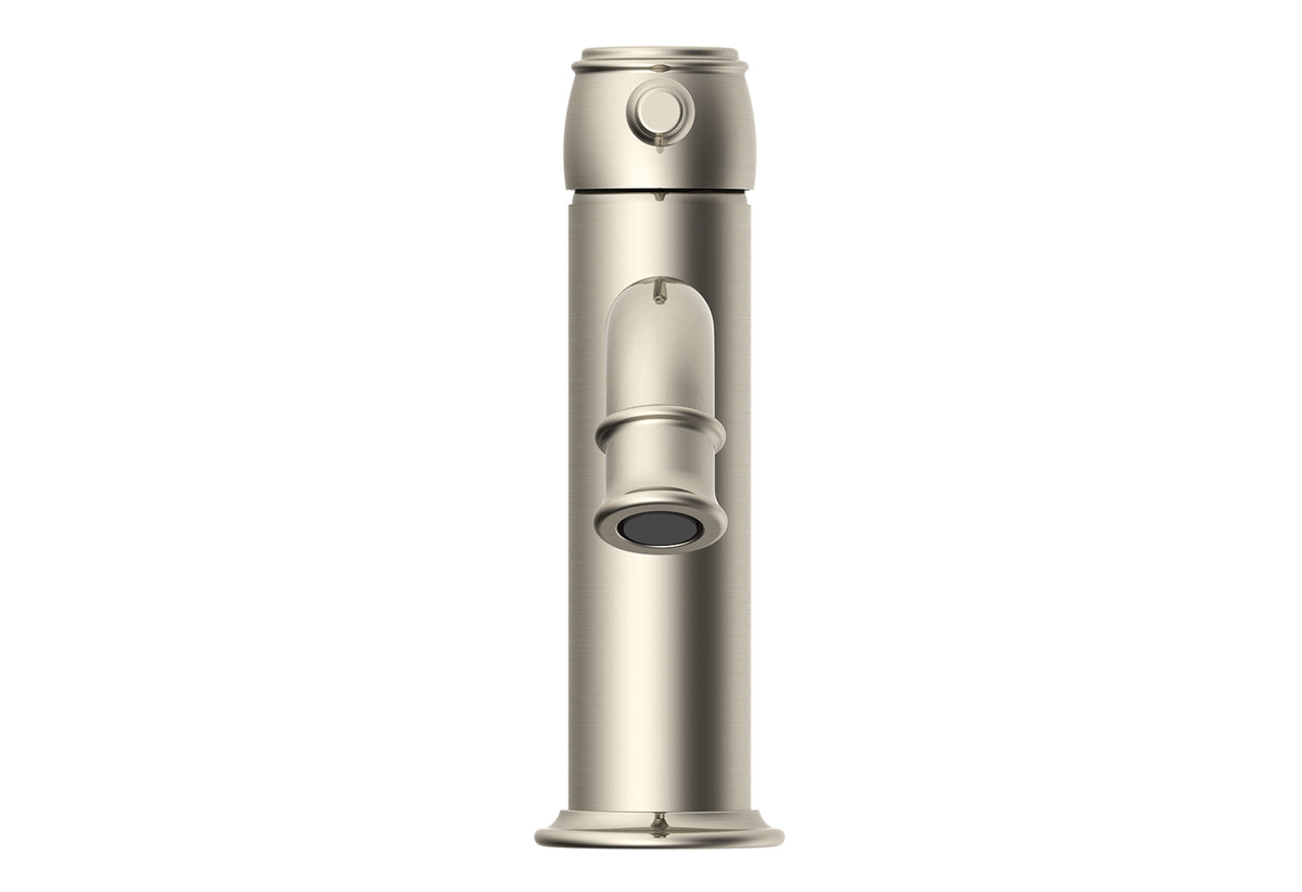Eternal Basin Mixer in Brushed Nickel | ADP
