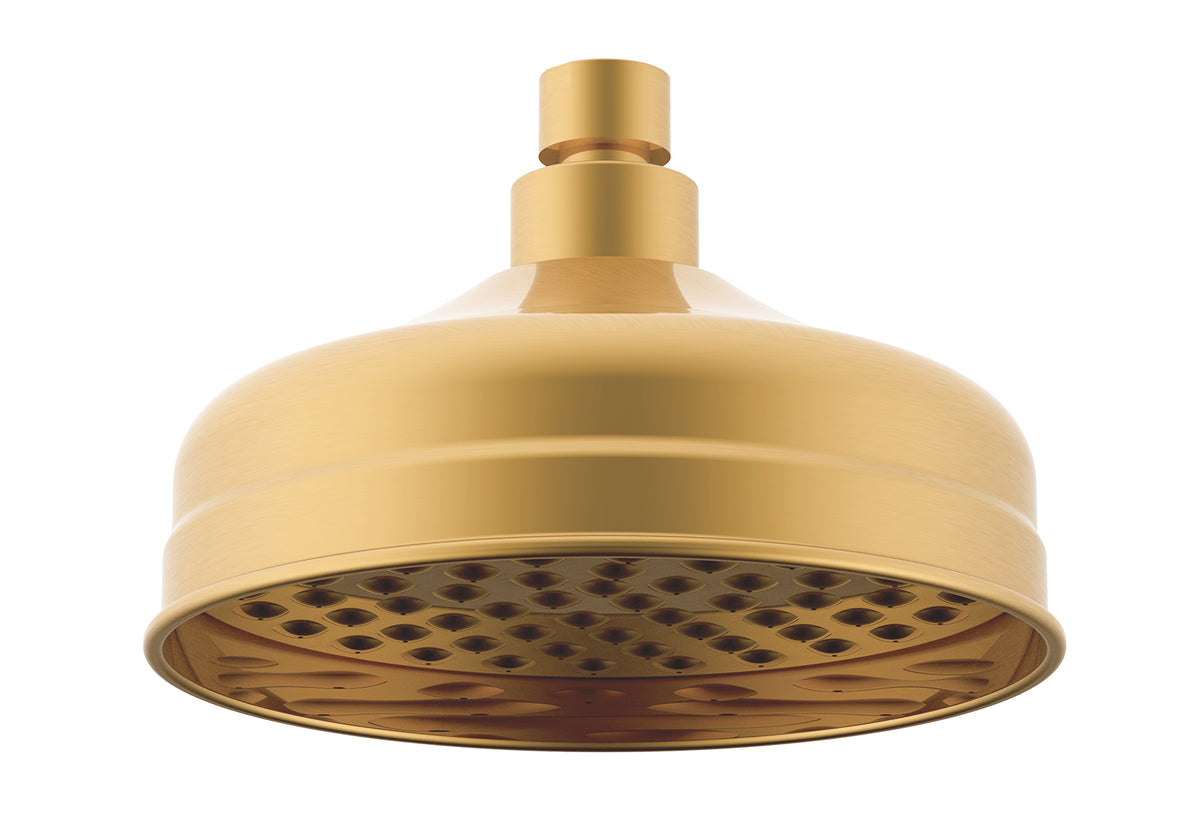 Brushed Brass - Eternal Shower Rose