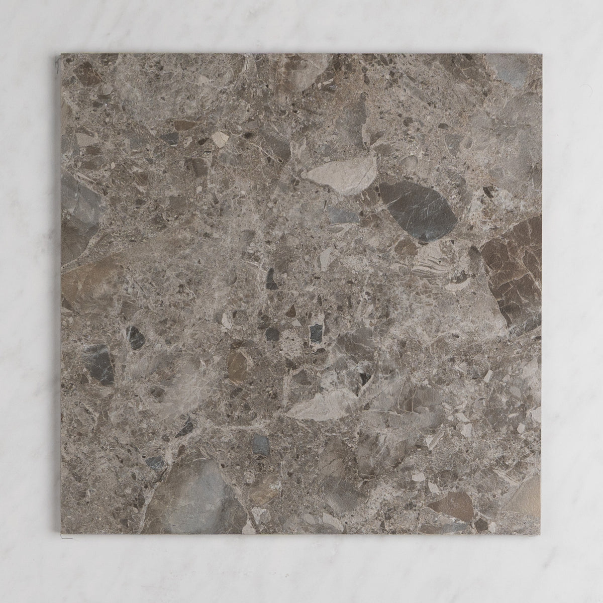 Norrock Terrazzo Look Floor & Wall Megaslab