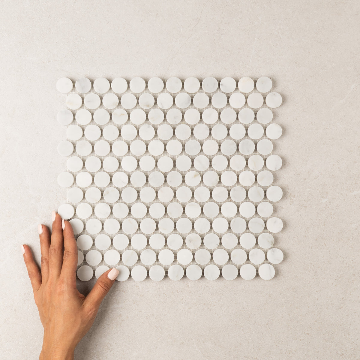 Carrara Penny Round Marble Mosaic | Honed Natural Stone