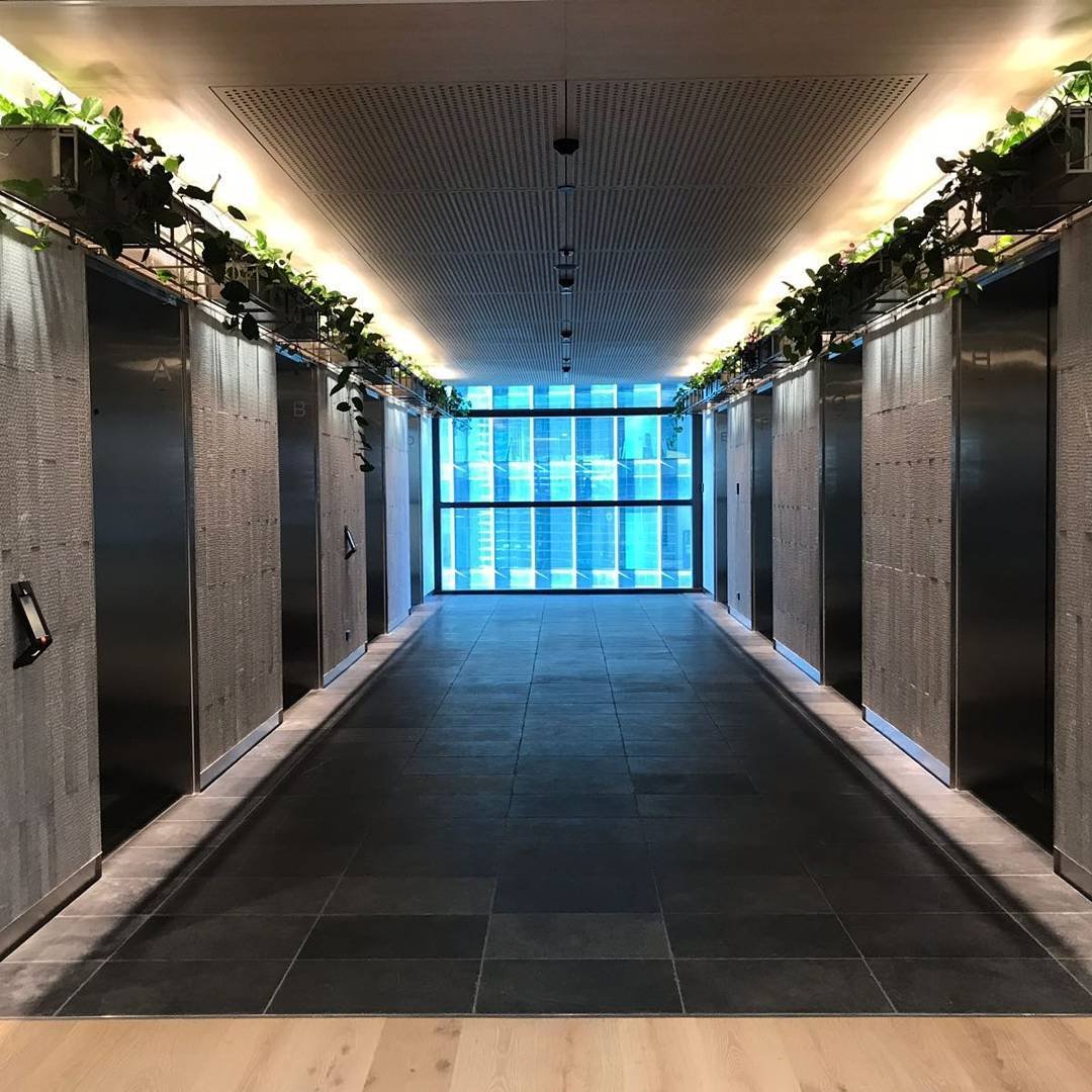 Carpe Diem Barangaroo