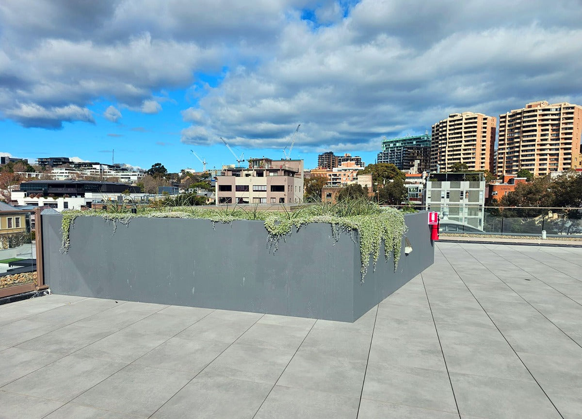 Darlinghurst | Sydney