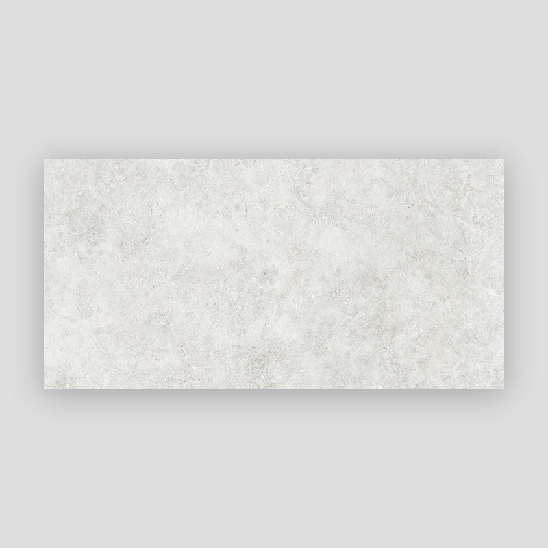 Project District Porcelain Floor and Wall Tile