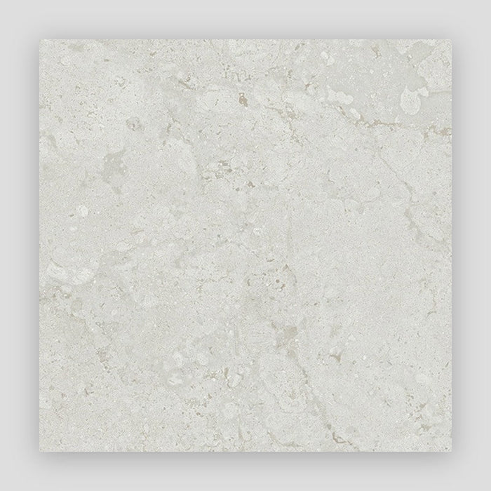 Project Stone Porcelain Floor and Wall Tile