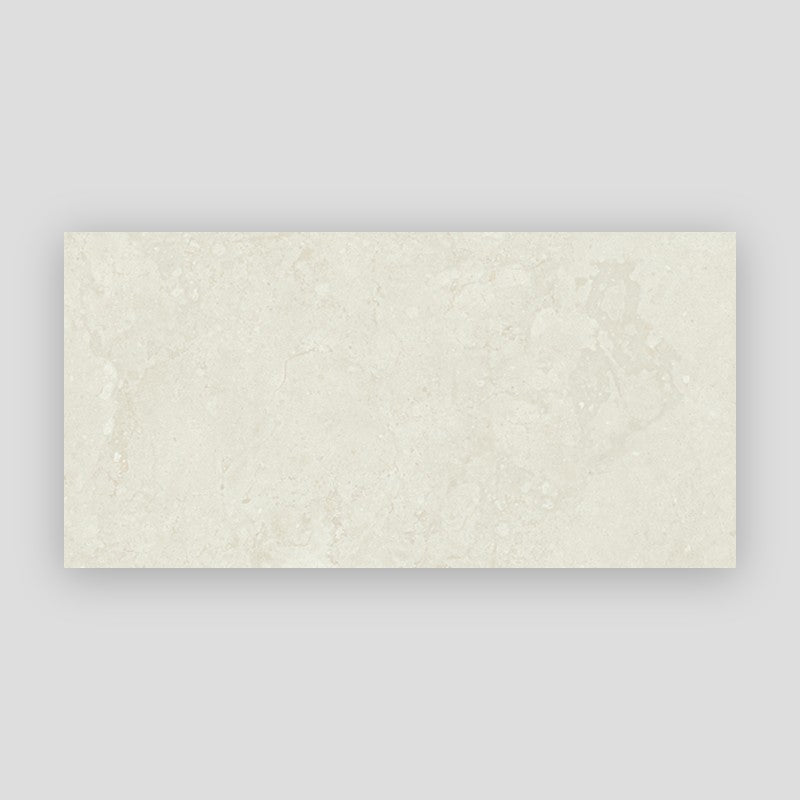 Project Stone Porcelain Floor and Wall Tile