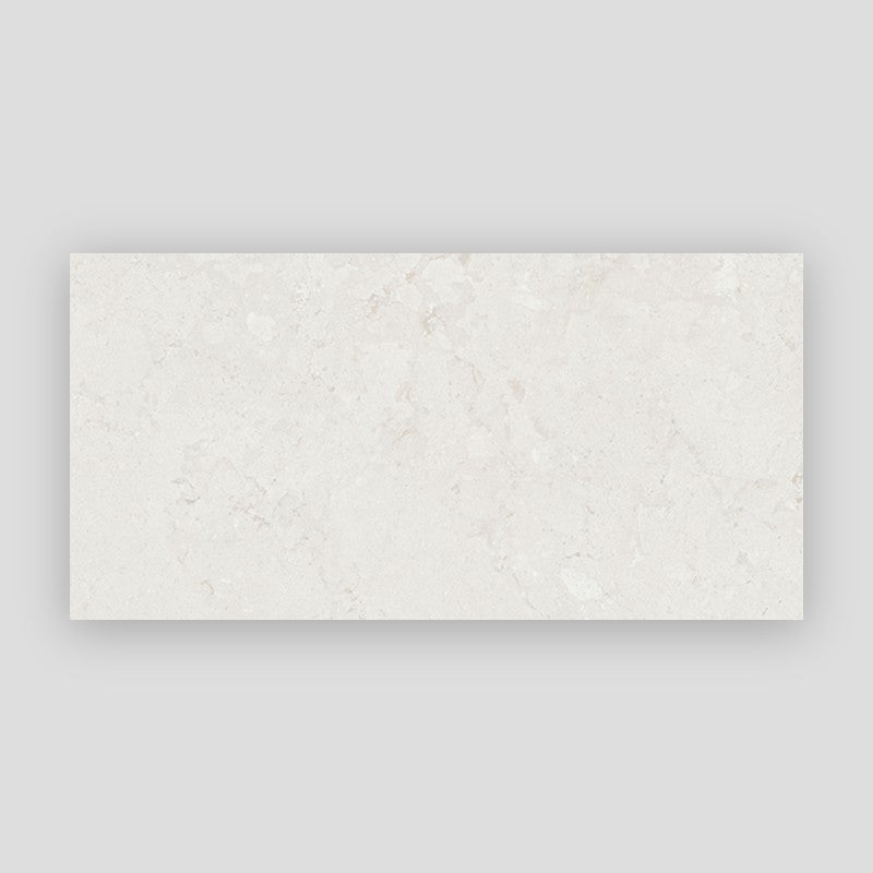 Project Stone Porcelain Floor and Wall Tile